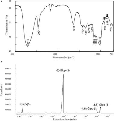 Different Modes of Regulation of the Expression of Dextransucrase in Leuconostoc lactis AV1n and Lactobacillus sakei <mark class="highlighted">MN1</mark>